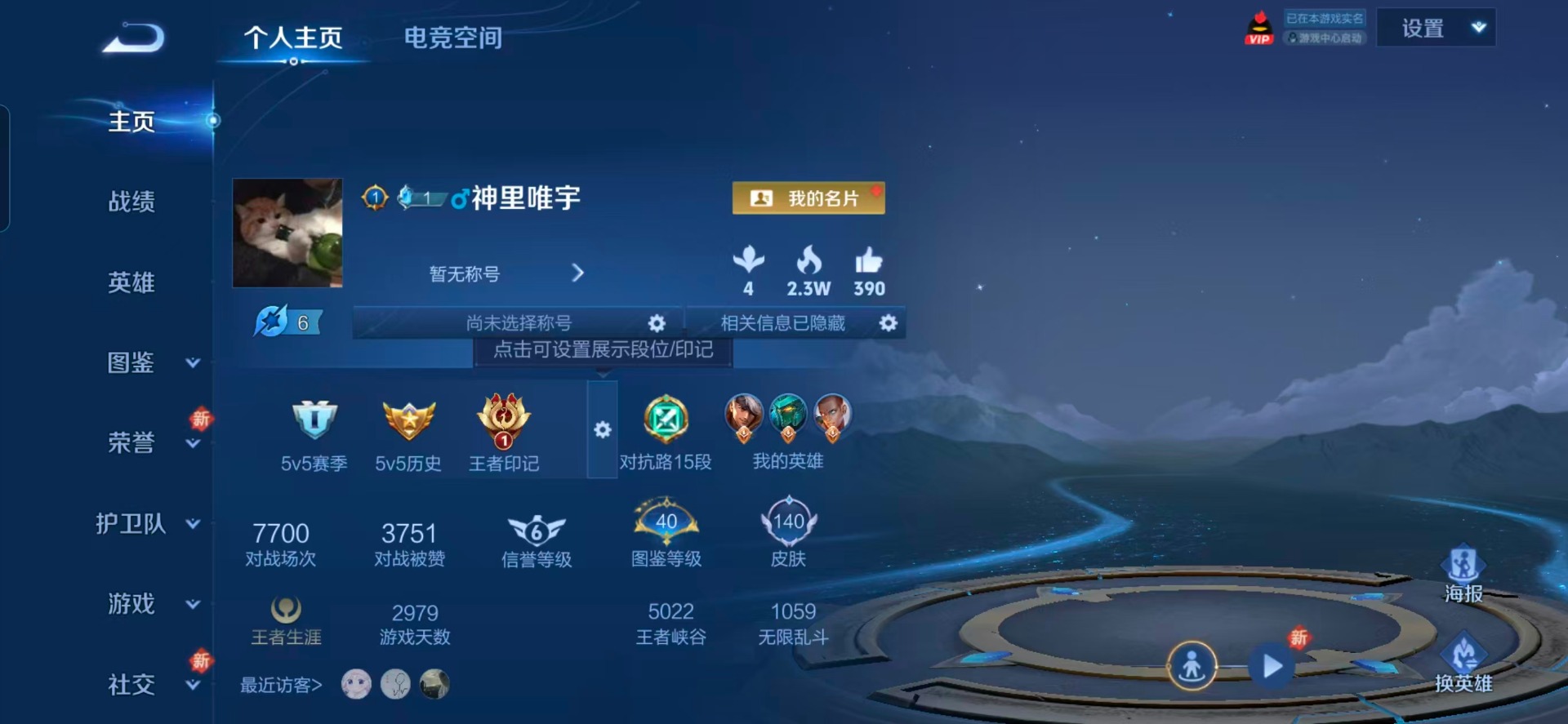 WZQM3296498王者荣耀账号详情图11