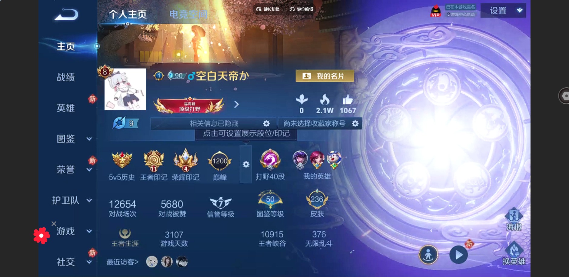 王者荣耀账号安卓QQ[12136225]V8 1典藏 8传说 122英雄 236皮肤 可修改实名 优质装备:全息碎影(猴