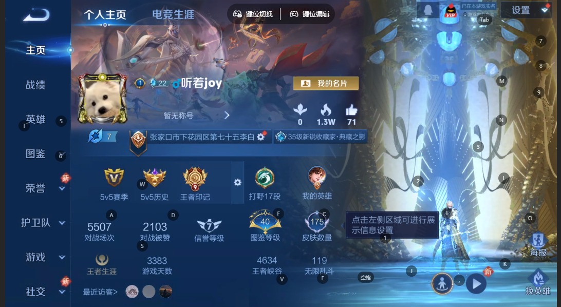 WZQM3355930王者荣耀账号详情图8