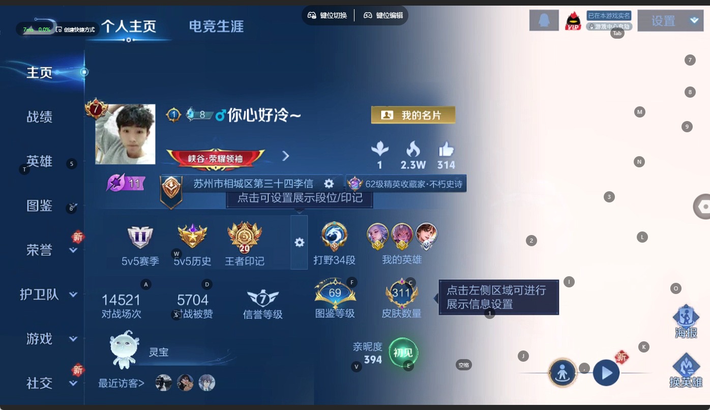 WZQM3372687王者荣耀账号详情图5