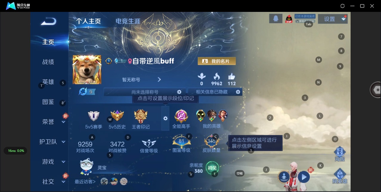 WZQM3374533王者荣耀账号详情图10