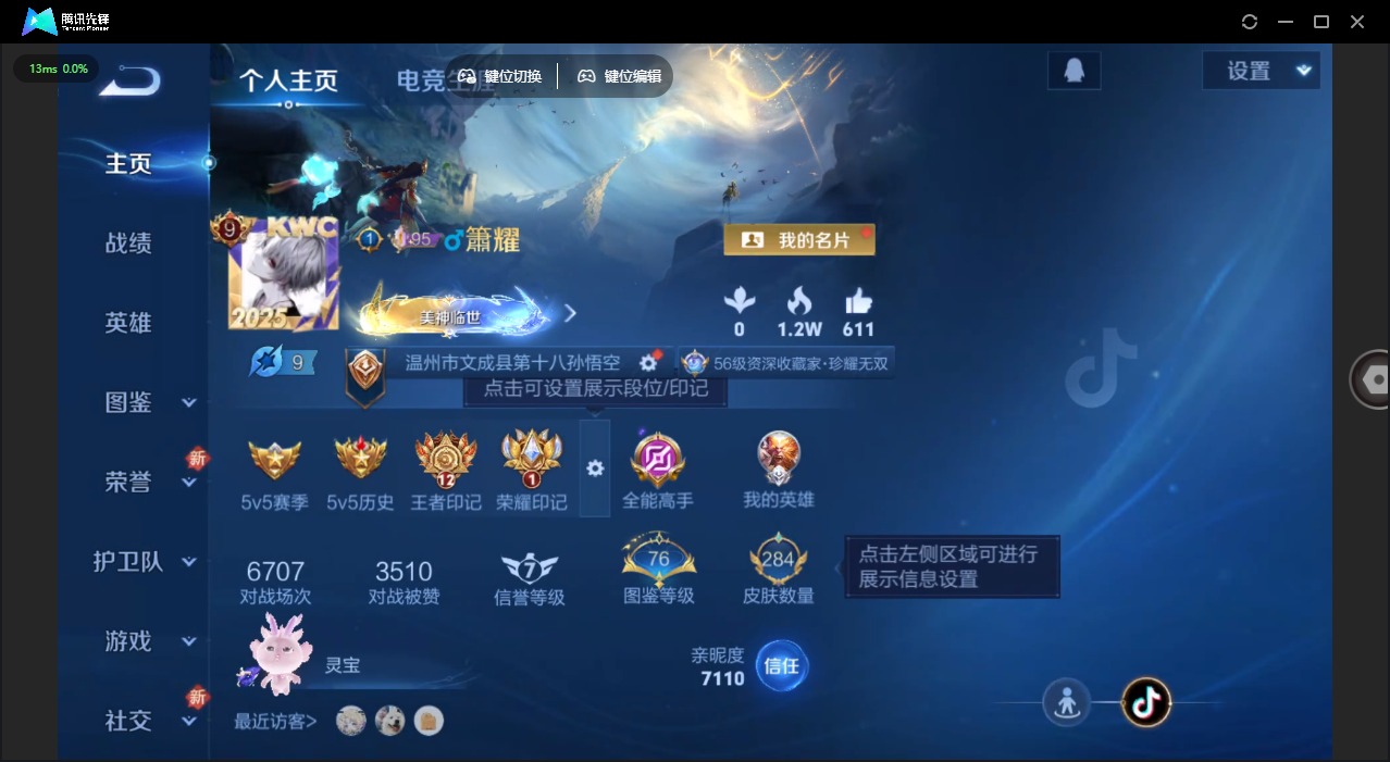 WZQM3379348王者荣耀账号详情图6