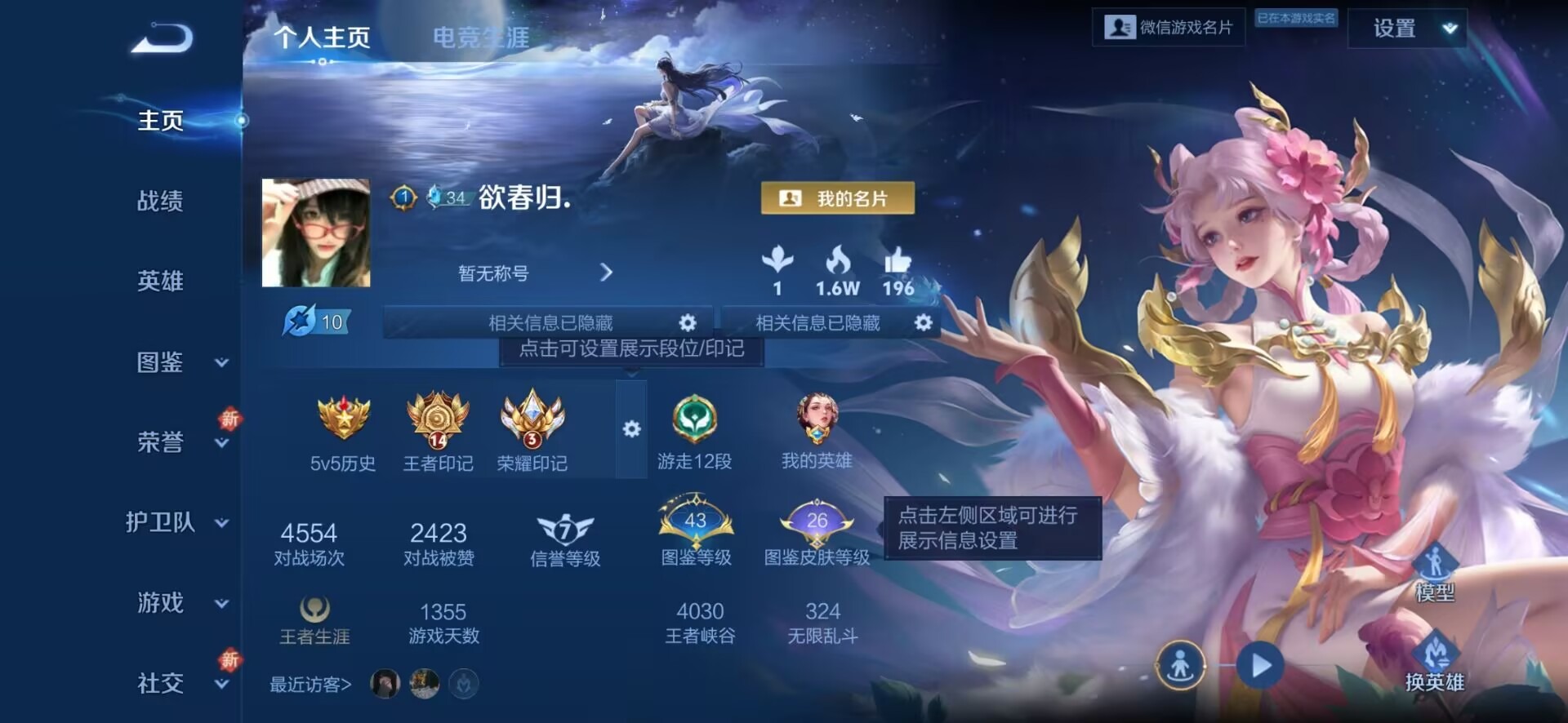 WZCMW3381811王者荣耀账号详情图17