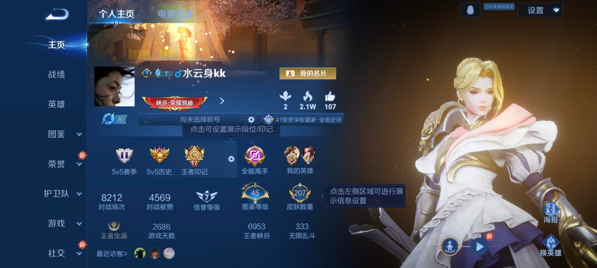 WZQM3382328王者荣耀账号详情图10