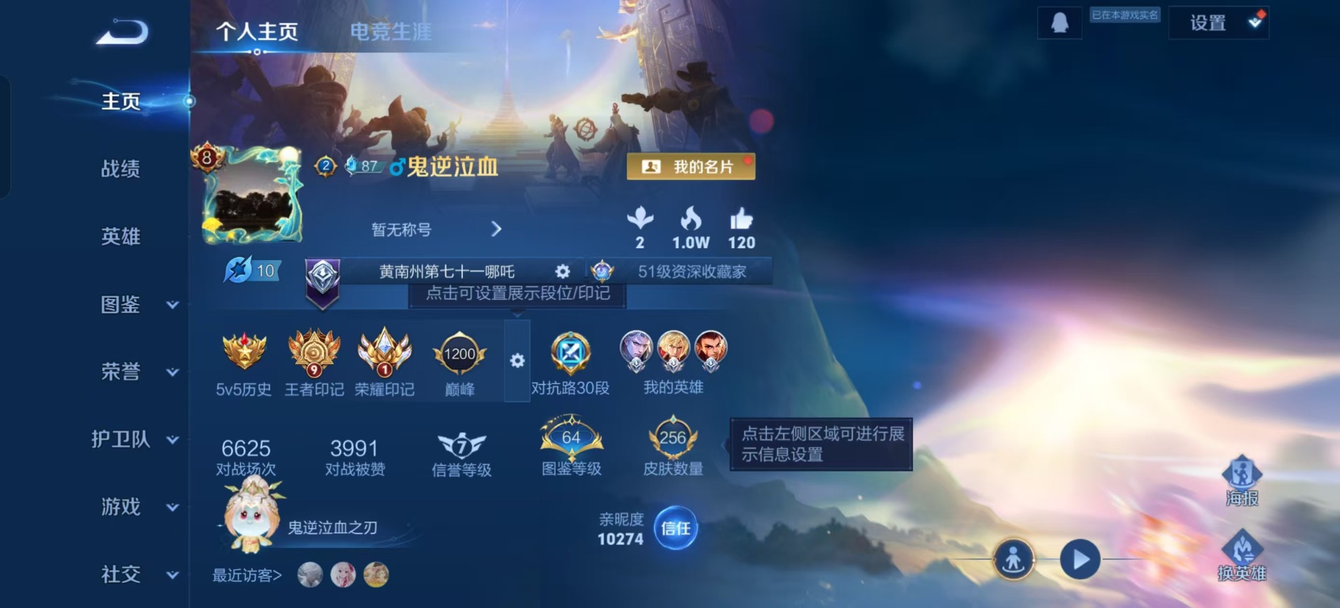 WZQM3387391王者荣耀账号详情图7