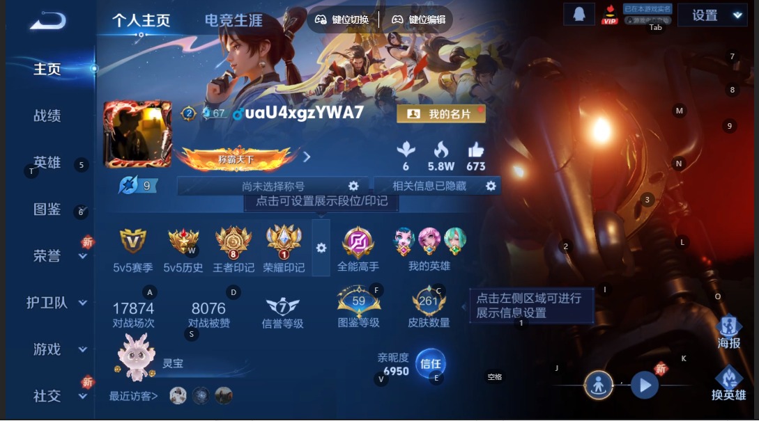 WZQM3390863王者荣耀账号详情图19