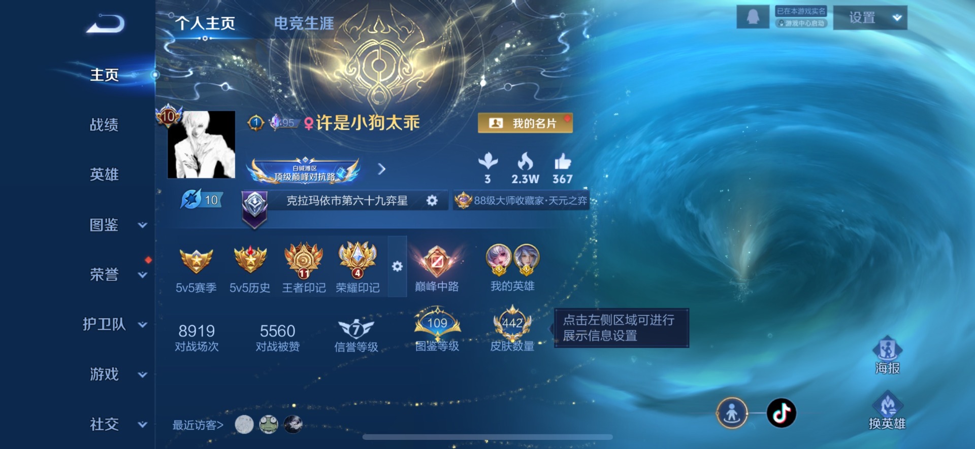 WZQM3394143王者荣耀账号详情图6