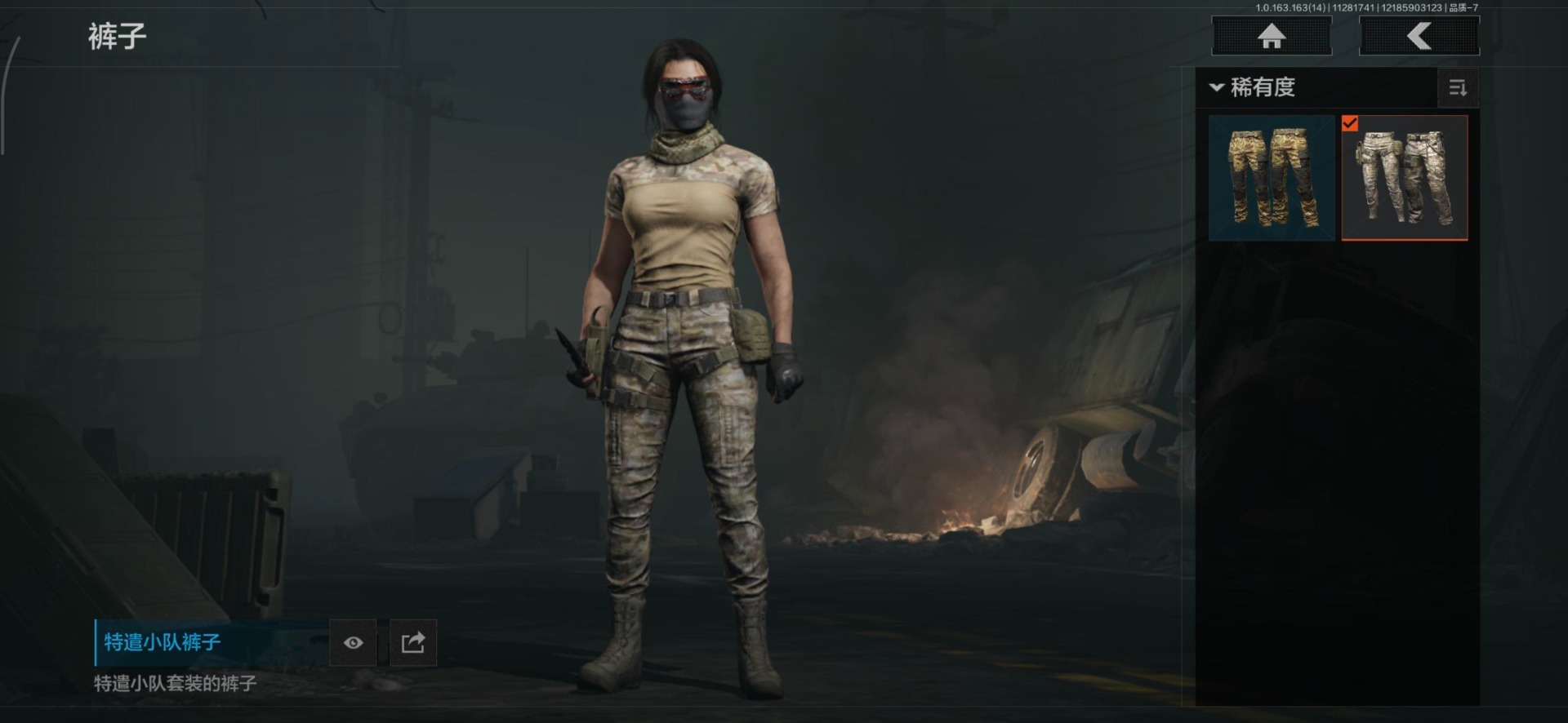 AQQM315327暗区突围账号详情图14