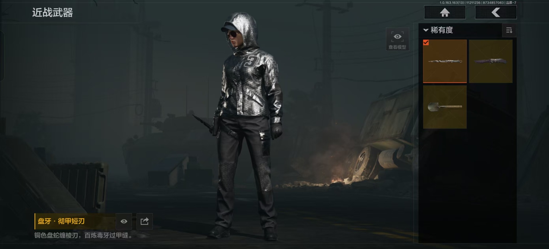 AQQM315335暗区突围账号详情图11