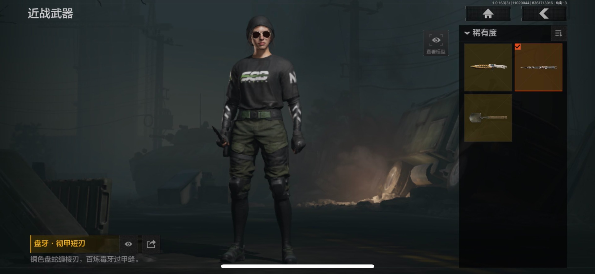 AQQM315339暗区突围账号详情图32