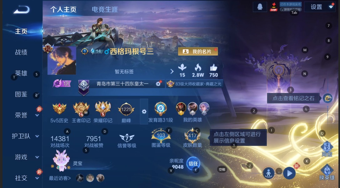 WZQM3396696王者荣耀账号详情图13