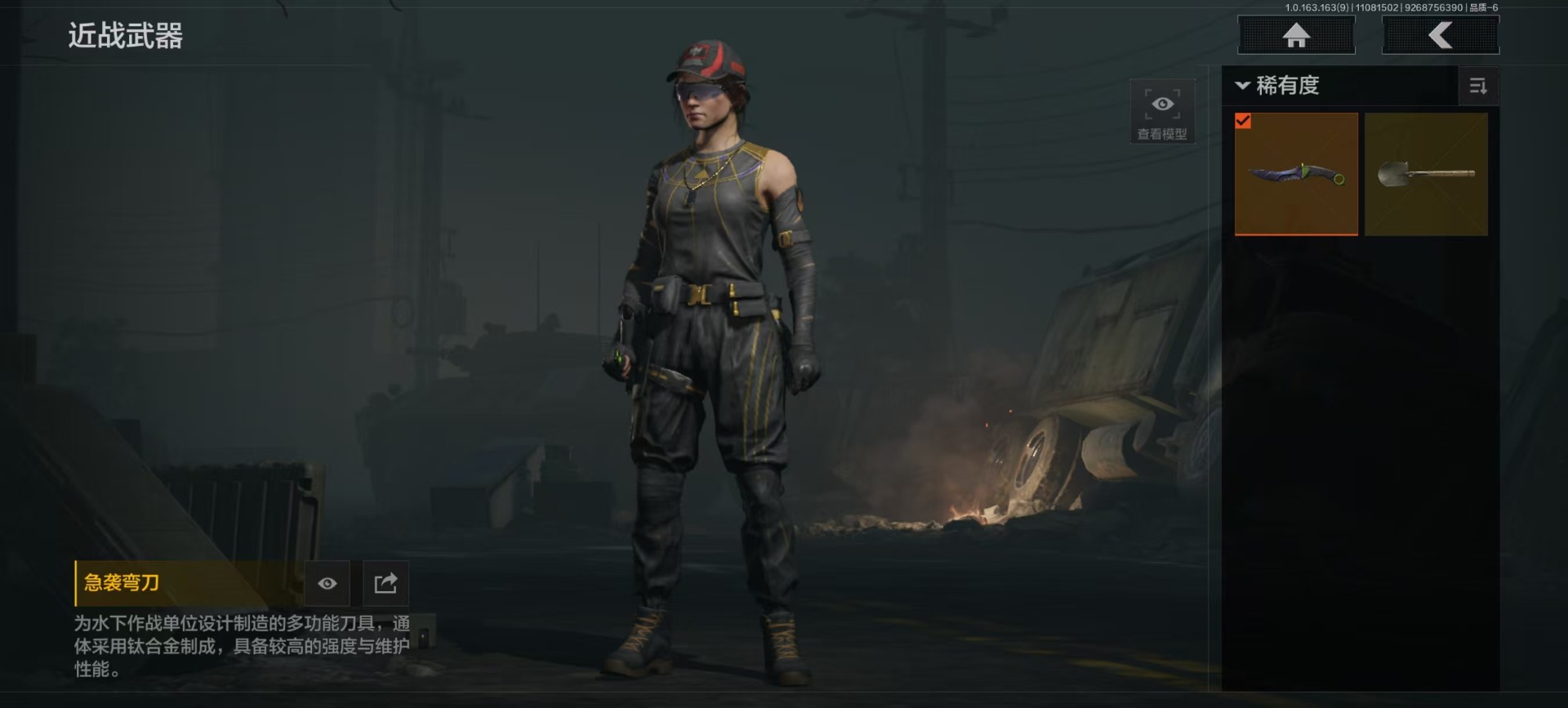 AQQM315565暗区突围账号详情图10