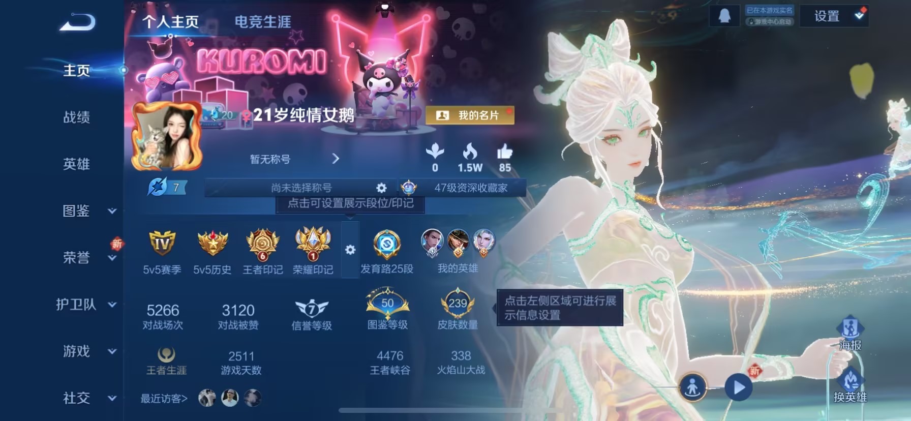 WZQM3410886王者荣耀账号详情图15