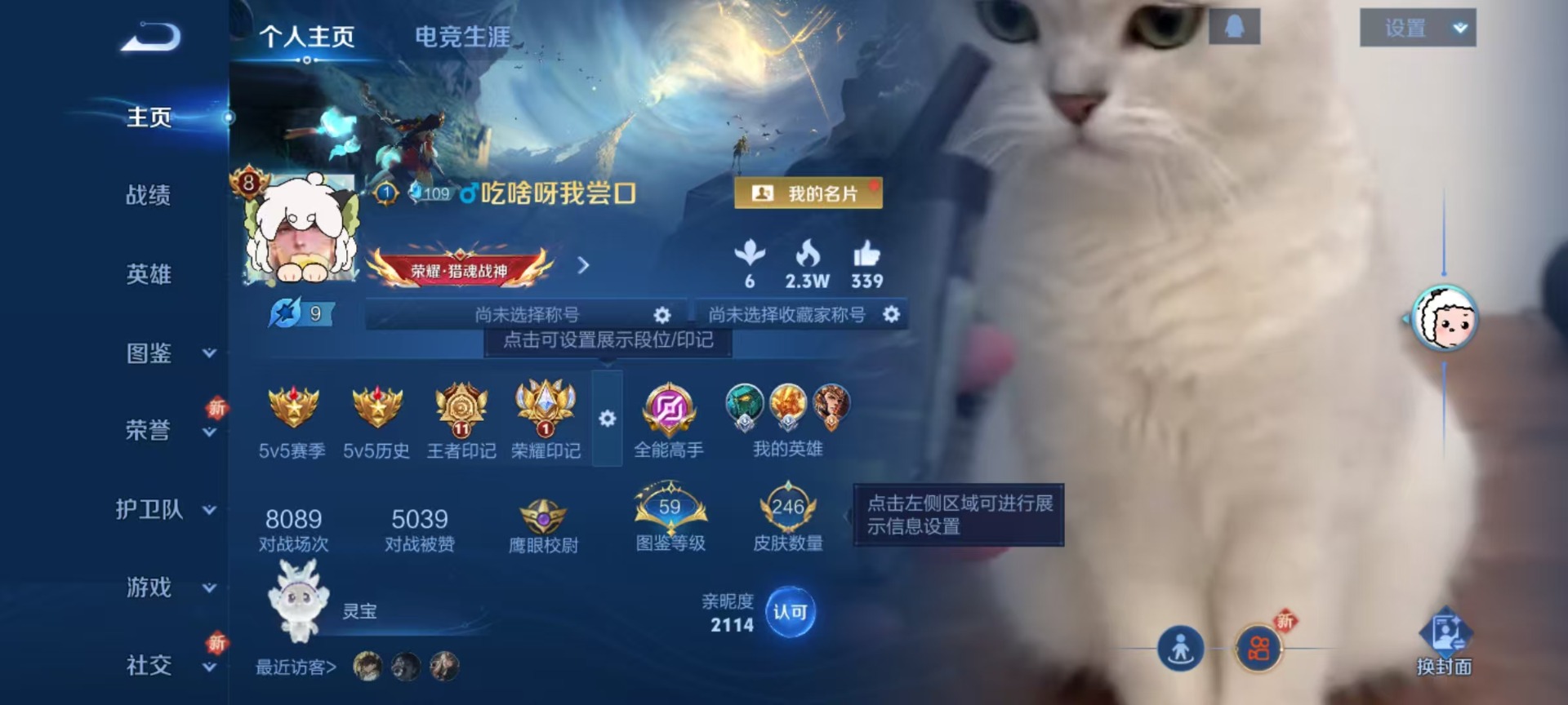 WZQM3428901王者荣耀账号详情图17 WZQM3428901王者荣耀账号详情图17