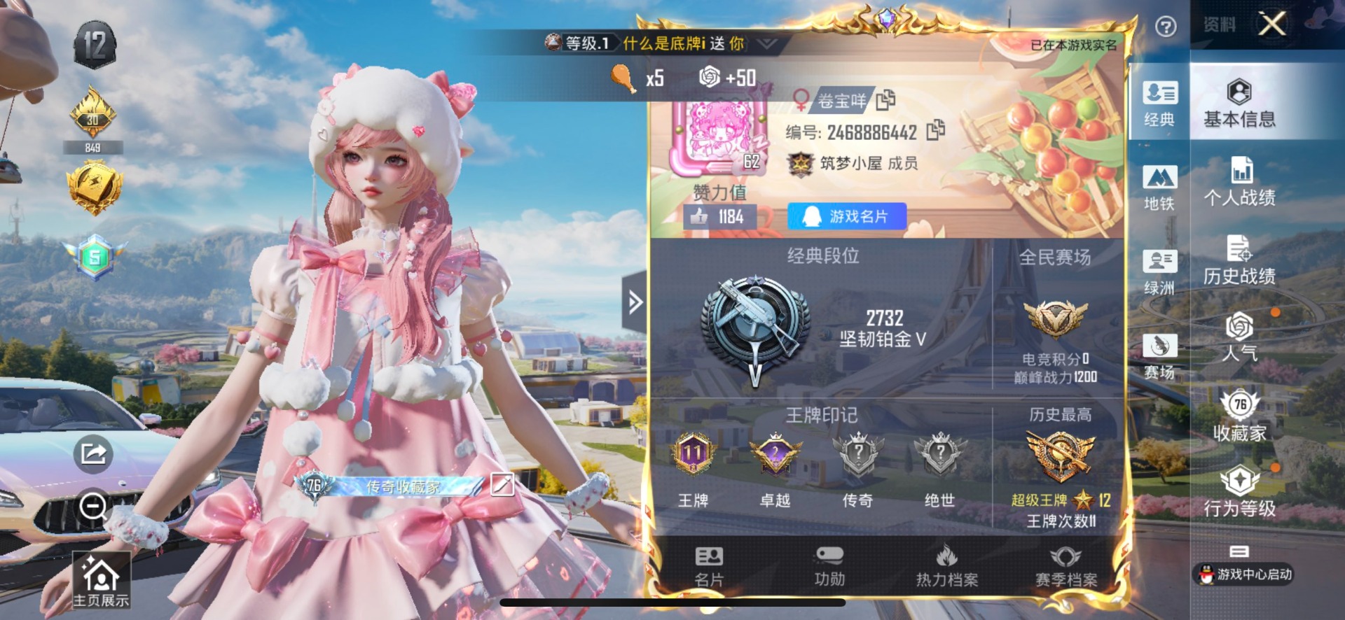 和平精英账号苹果QQ2载具-177套装-202枪皮-31粉装 12特效枪 2载具 11印记 可二次 可修改实名  149