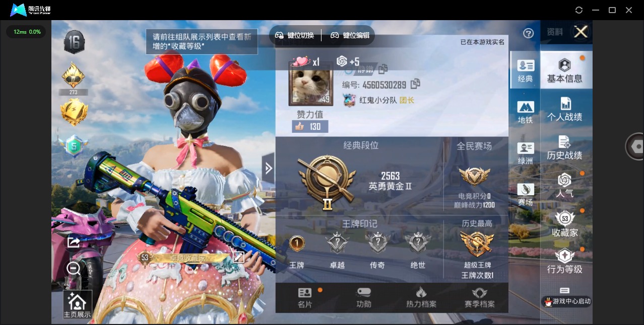 HPQM3431870和平精英账号详情图19