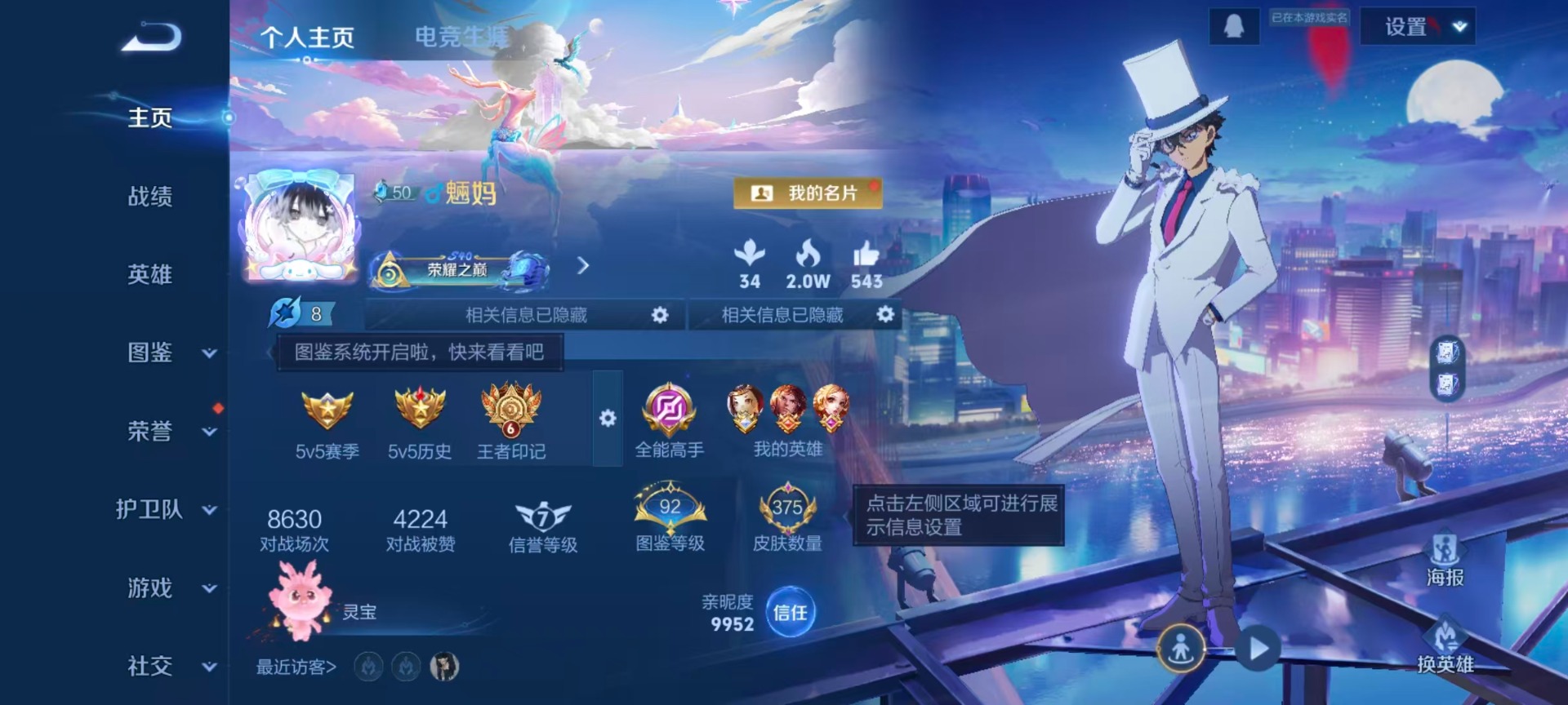 WZCMW3434891王者荣耀账号详情图21