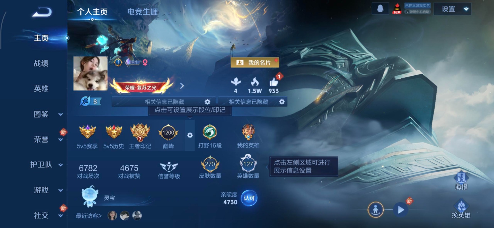 WZQM3436490王者荣耀账号详情图13