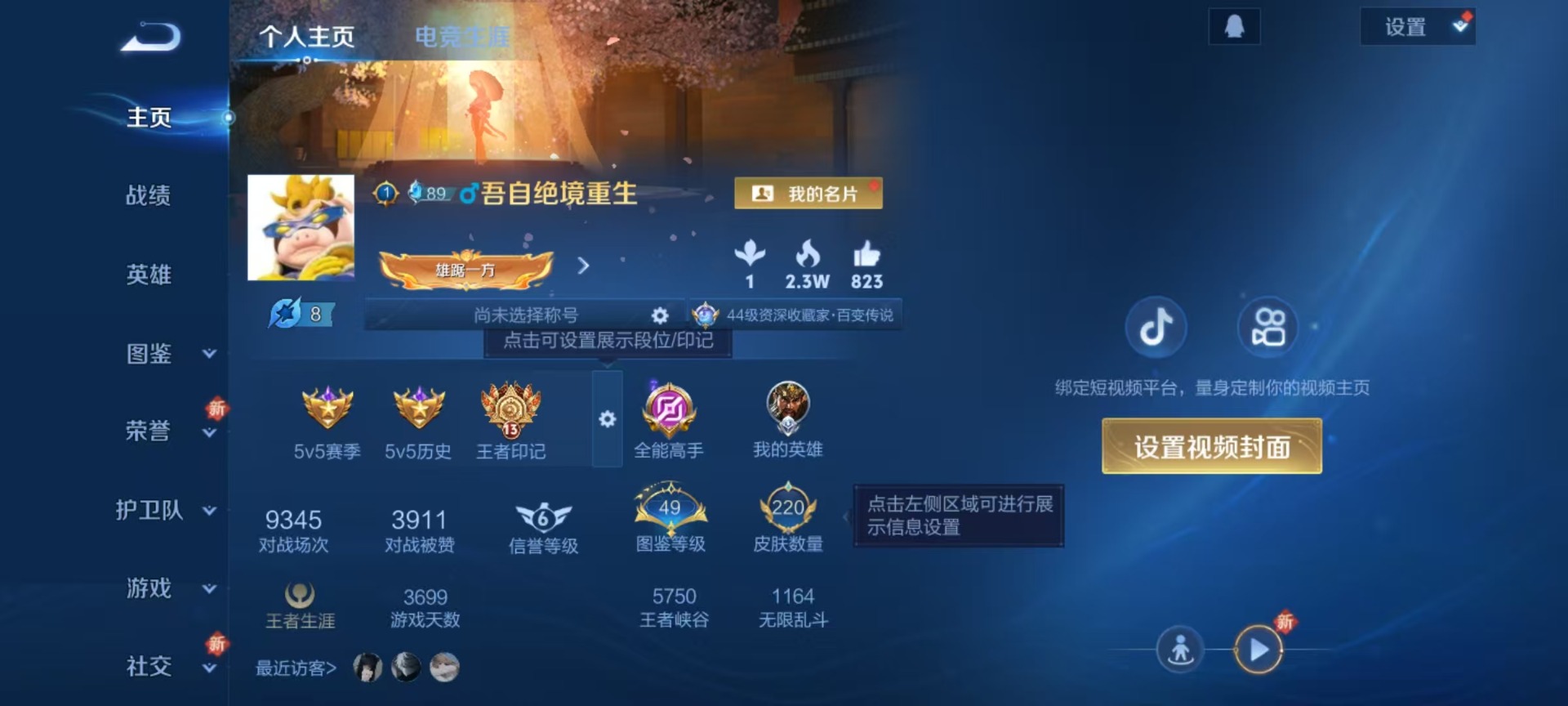 WZQM3437526王者荣耀账号详情图17