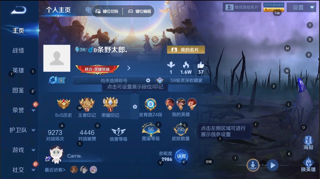 WZQM3442448王者荣耀账号详情图4