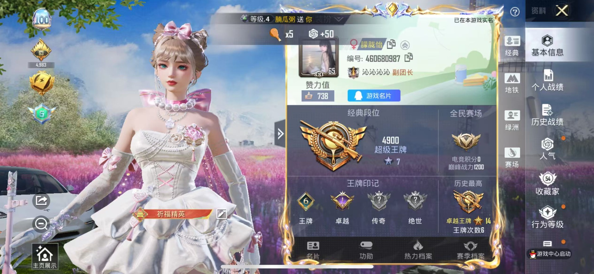 HPQM3436681和平精英账号详情图3