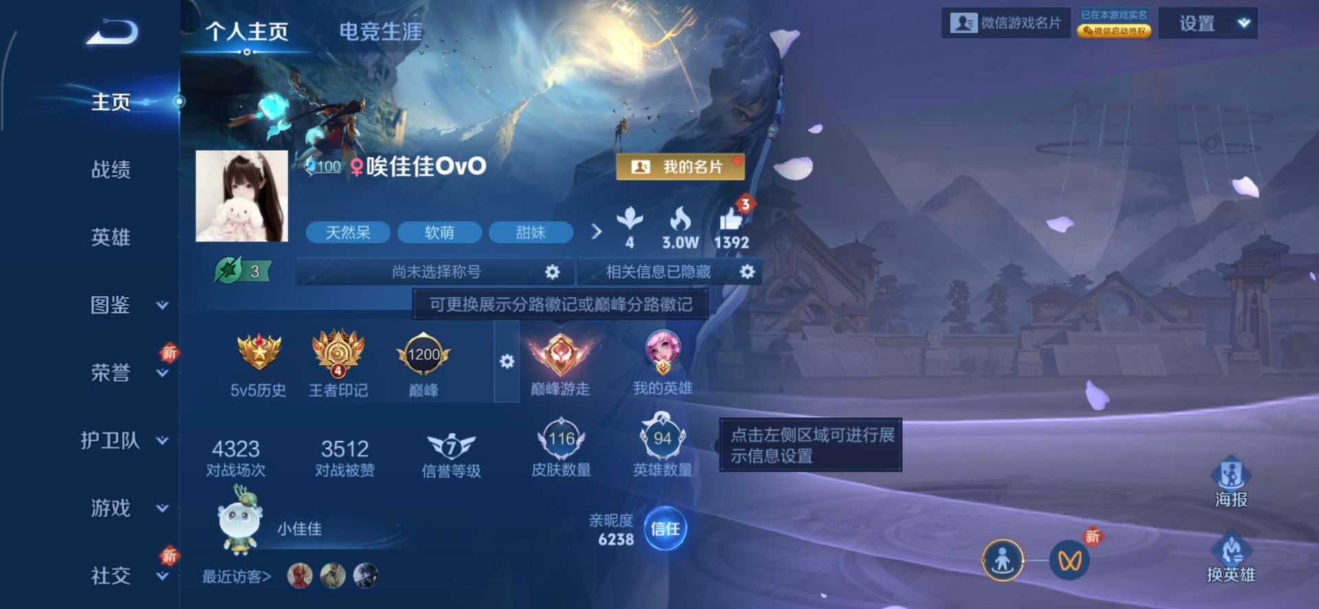 WZCMW3448916王者荣耀账号详情图3