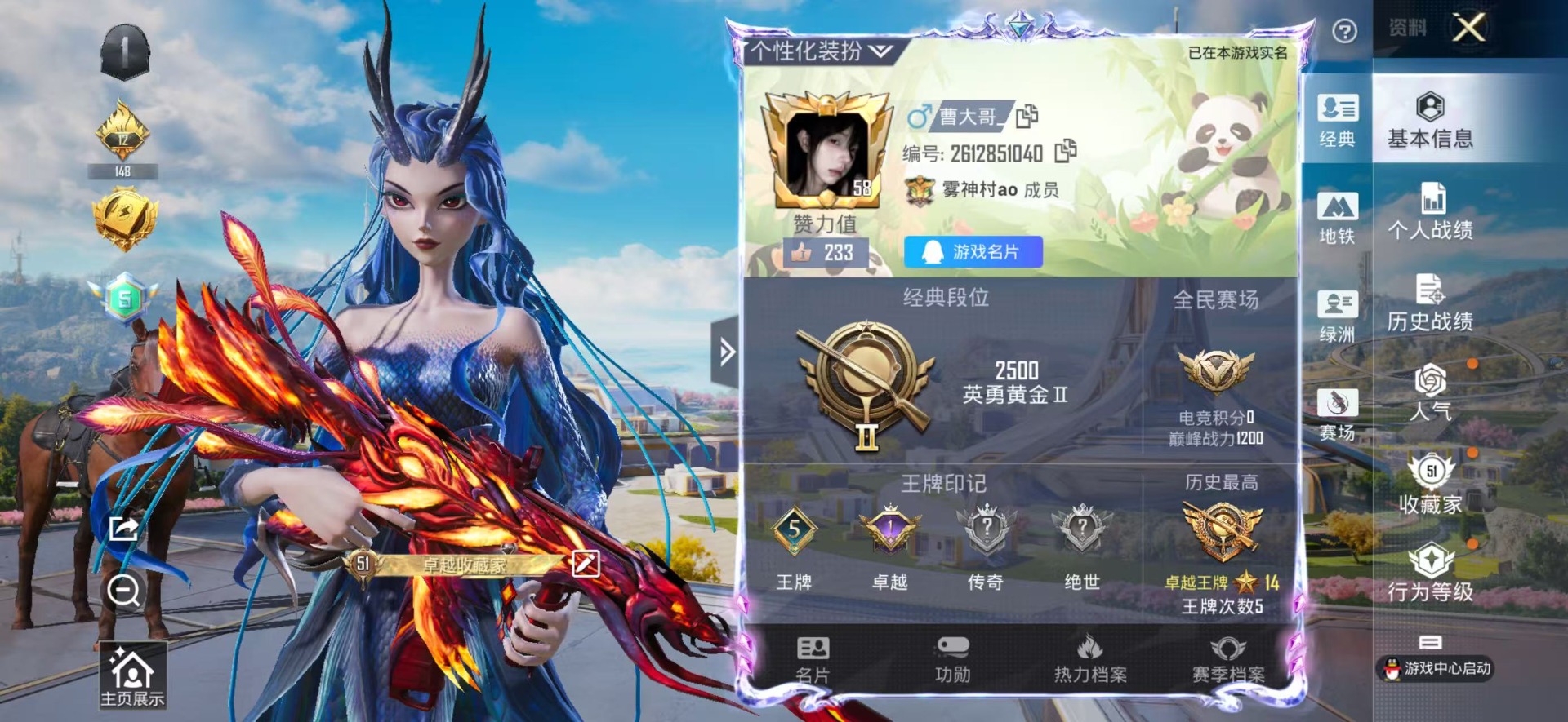 HPCMW3442806和平精英账号详情图2