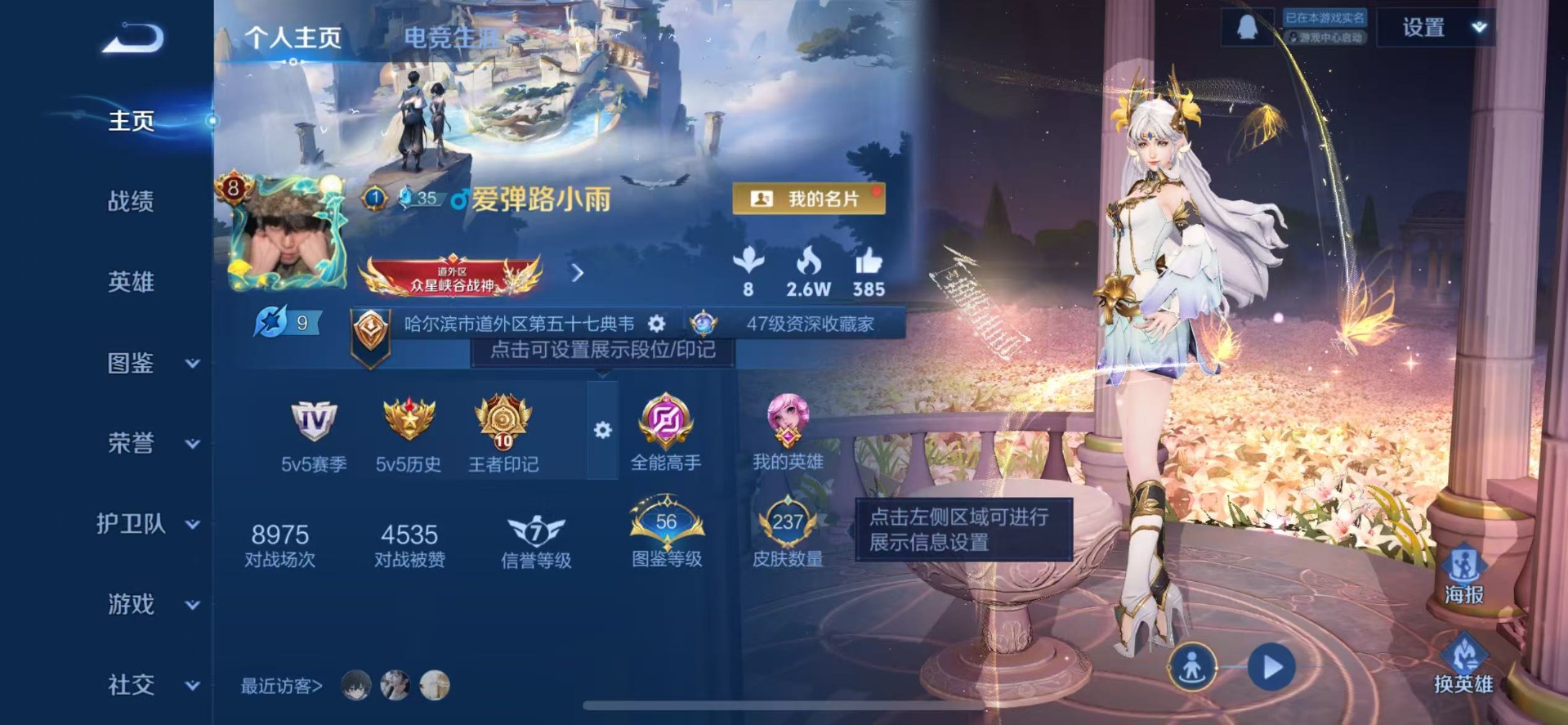 WZCMW3455820王者荣耀账号详情图4