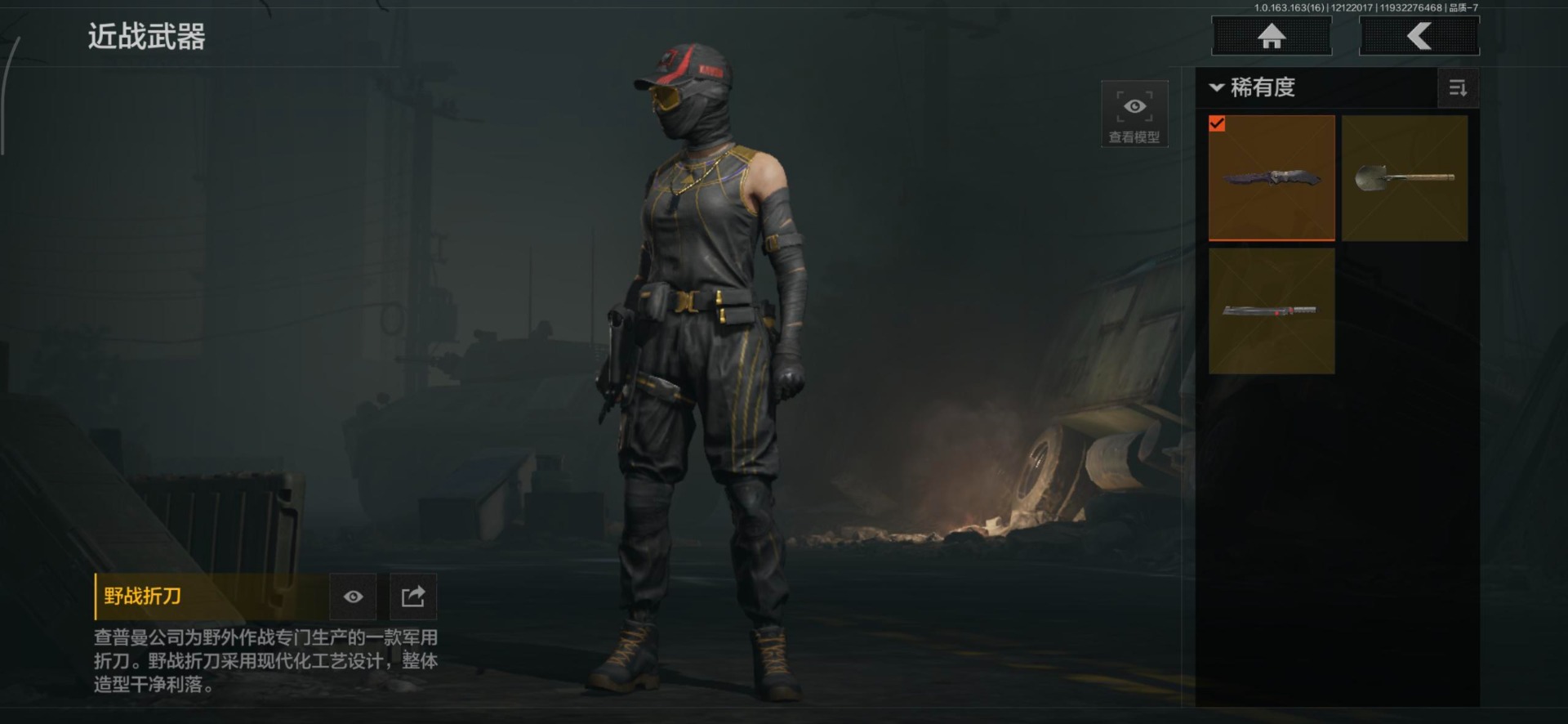 AQQM320307暗区突围账号详情图3