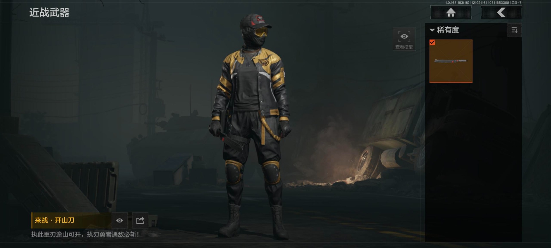 AQQM320317暗区突围账号详情图4