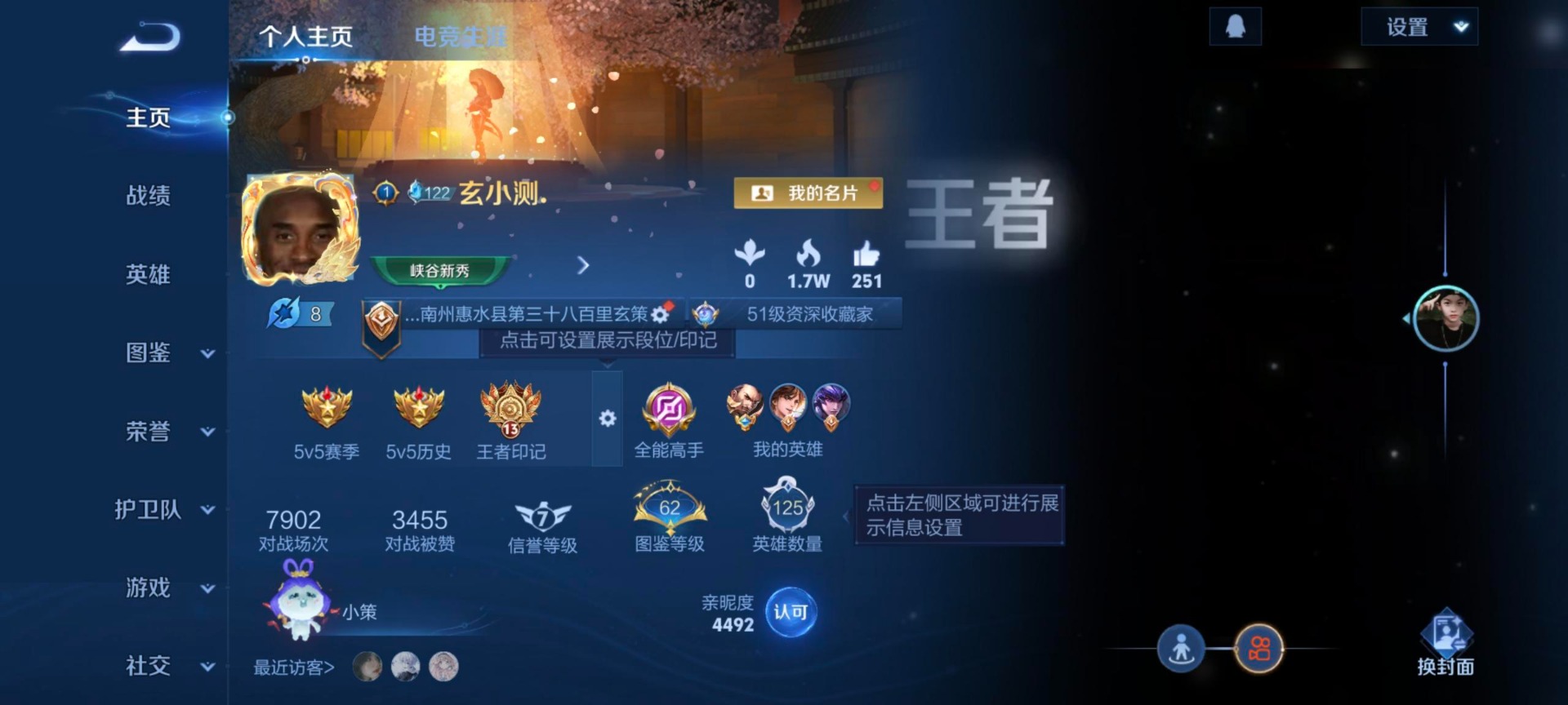 WZQM3462791王者荣耀账号详情图6