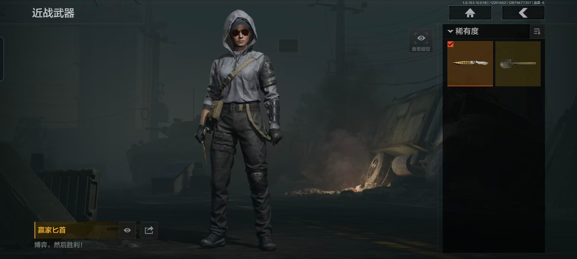 AQQM320598暗区突围账号详情图12