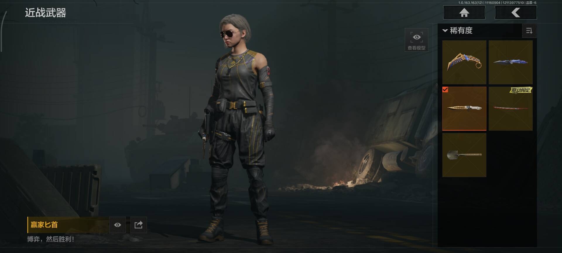 AQQM320603暗区突围账号详情图12