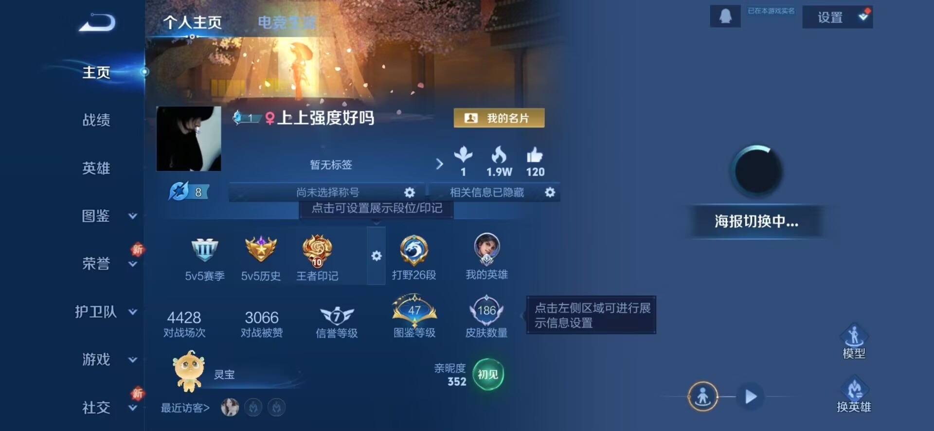 WZCMW3463265王者荣耀账号详情图14