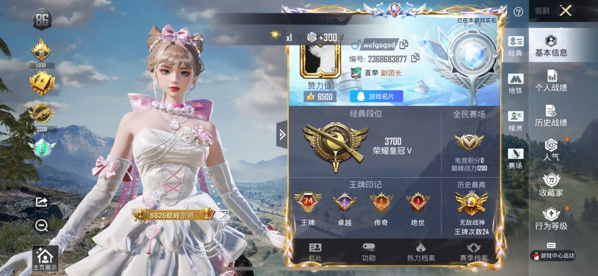 HPCMW3453316和平精英账号详情图2