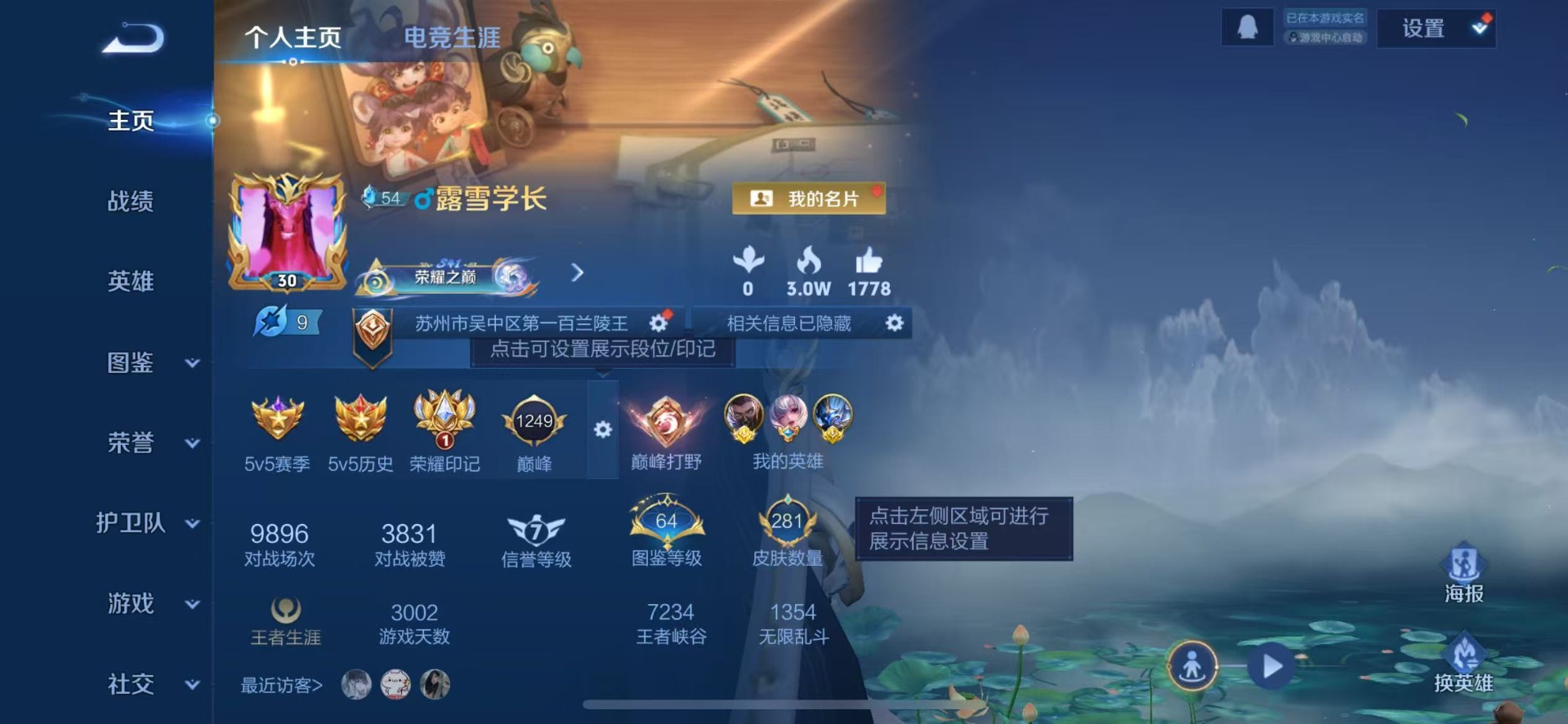 WZQM3478575王者荣耀账号详情图5