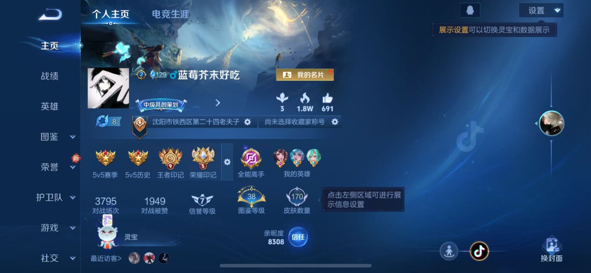 WZCMW3478961王者荣耀账号详情图9