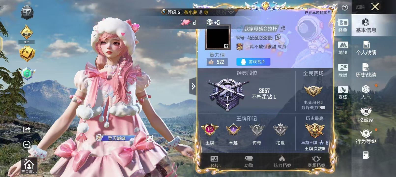 HPQM3454852和平精英账号详情图27