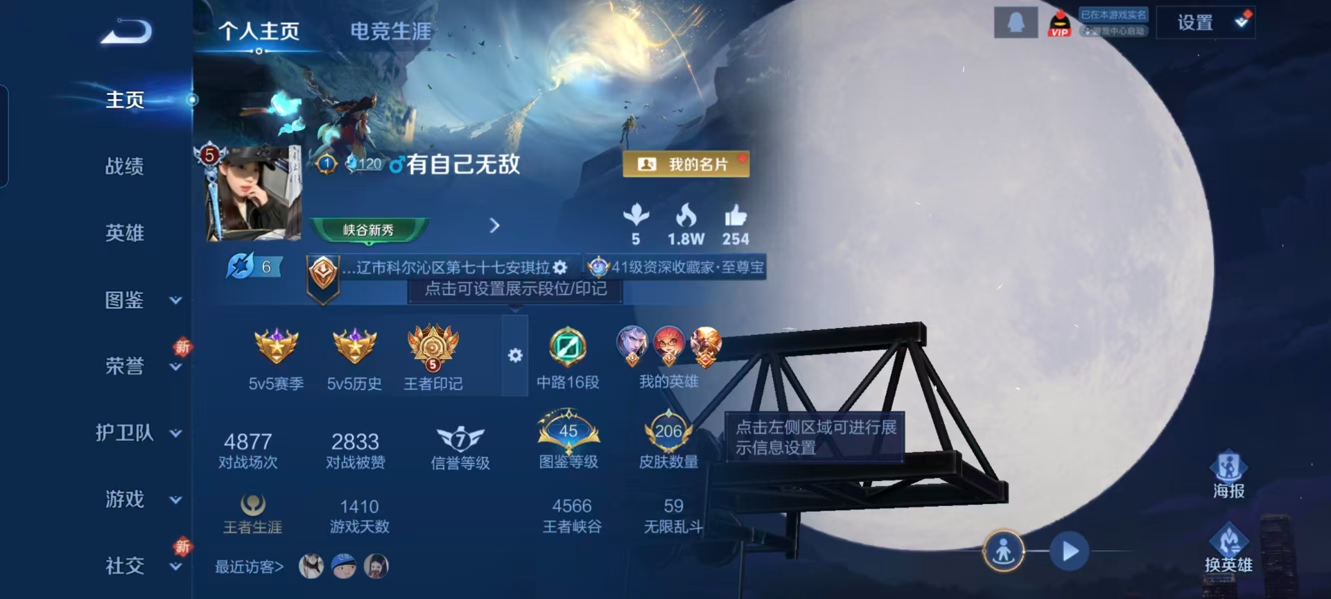 WZQM3484068王者荣耀账号详情图11