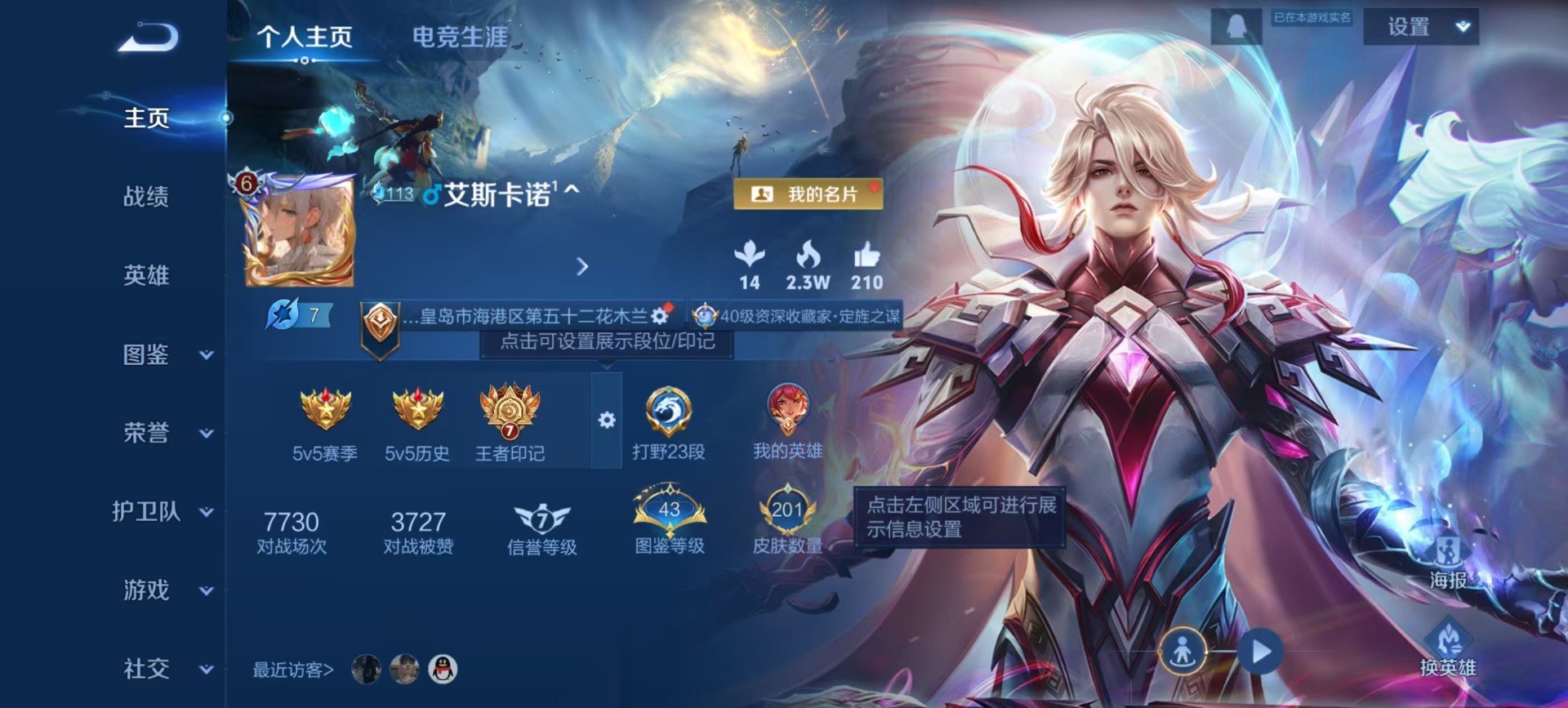 WZQM43790王者荣耀账号详情图10