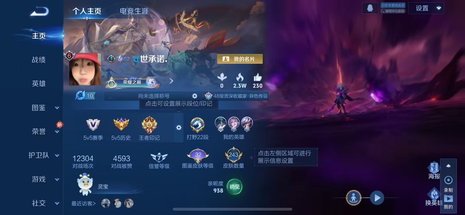 WZQM416788王者荣耀账号详情图14