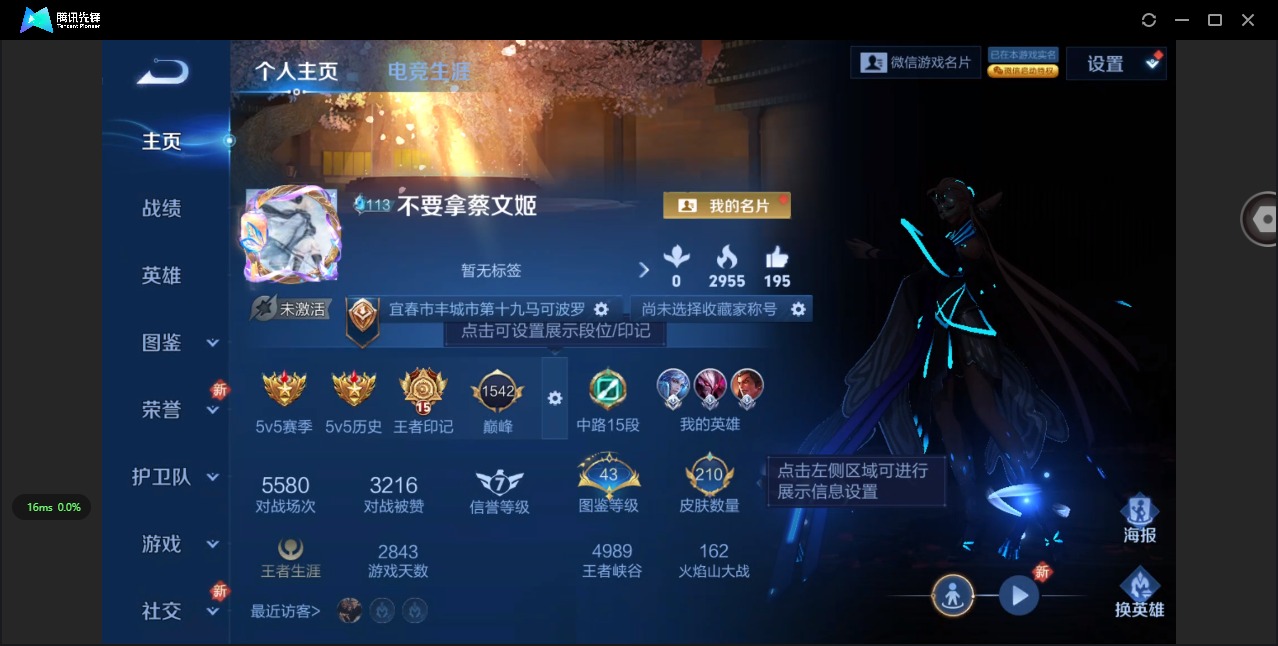 WZQM418459王者荣耀账号详情图13