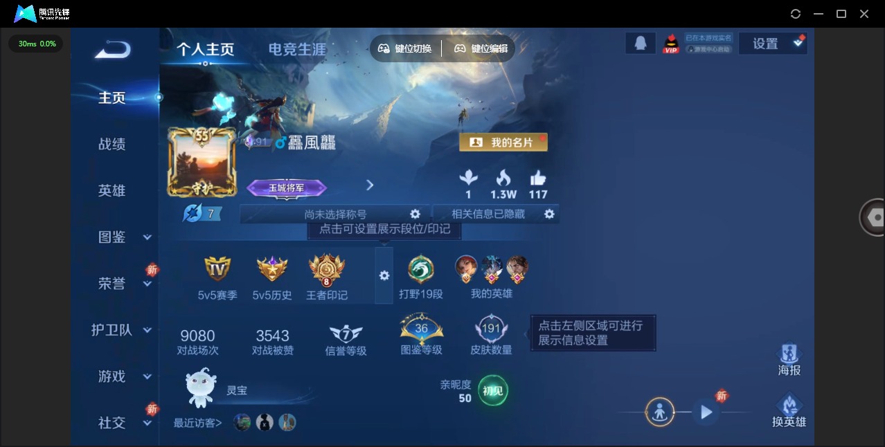 WZQM419094王者荣耀账号详情图13