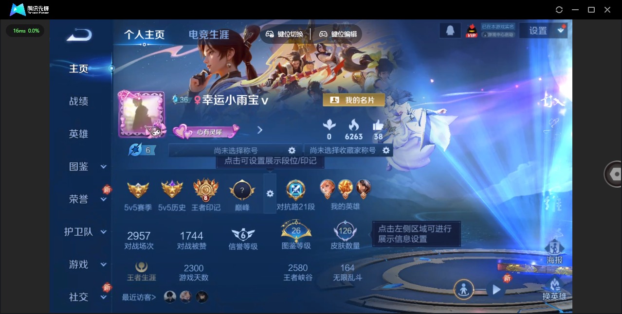 WZQM423376王者荣耀账号详情图3