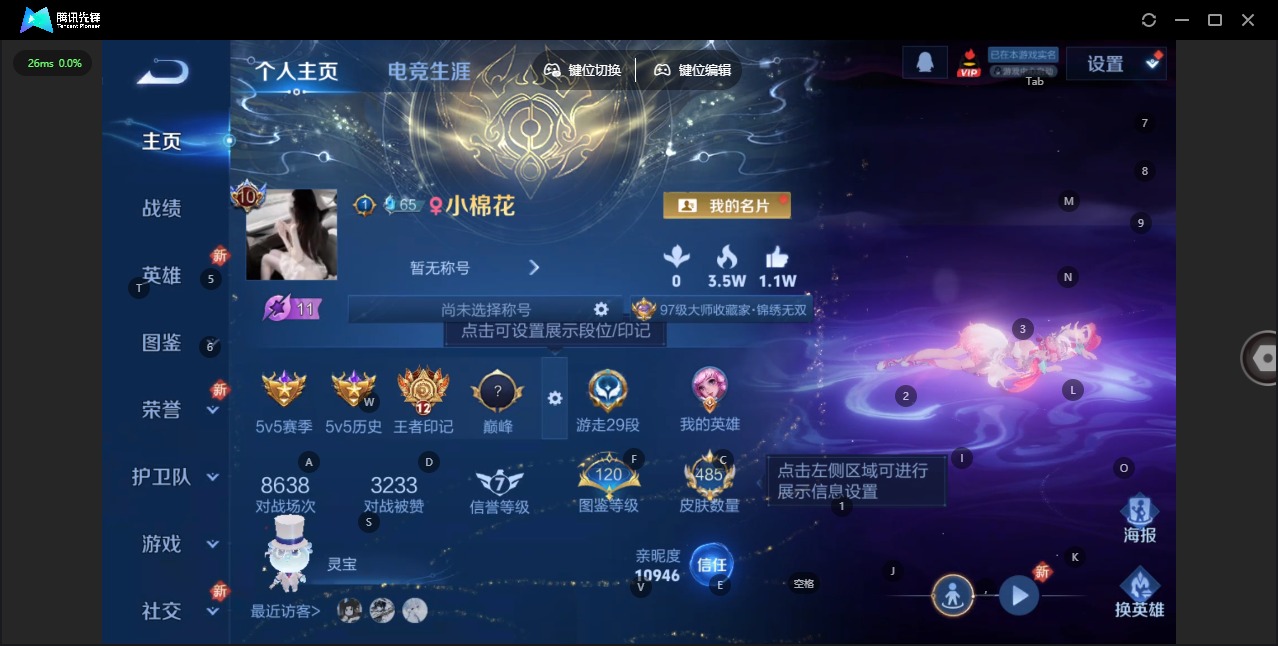 WZQM423460王者荣耀账号详情图6