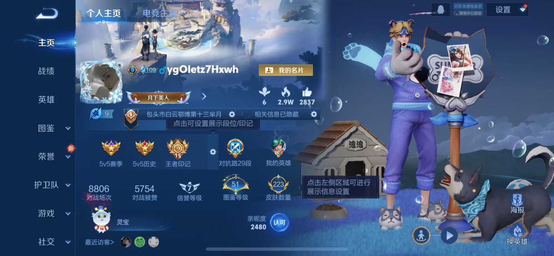 WZQM423521王者荣耀账号详情图4