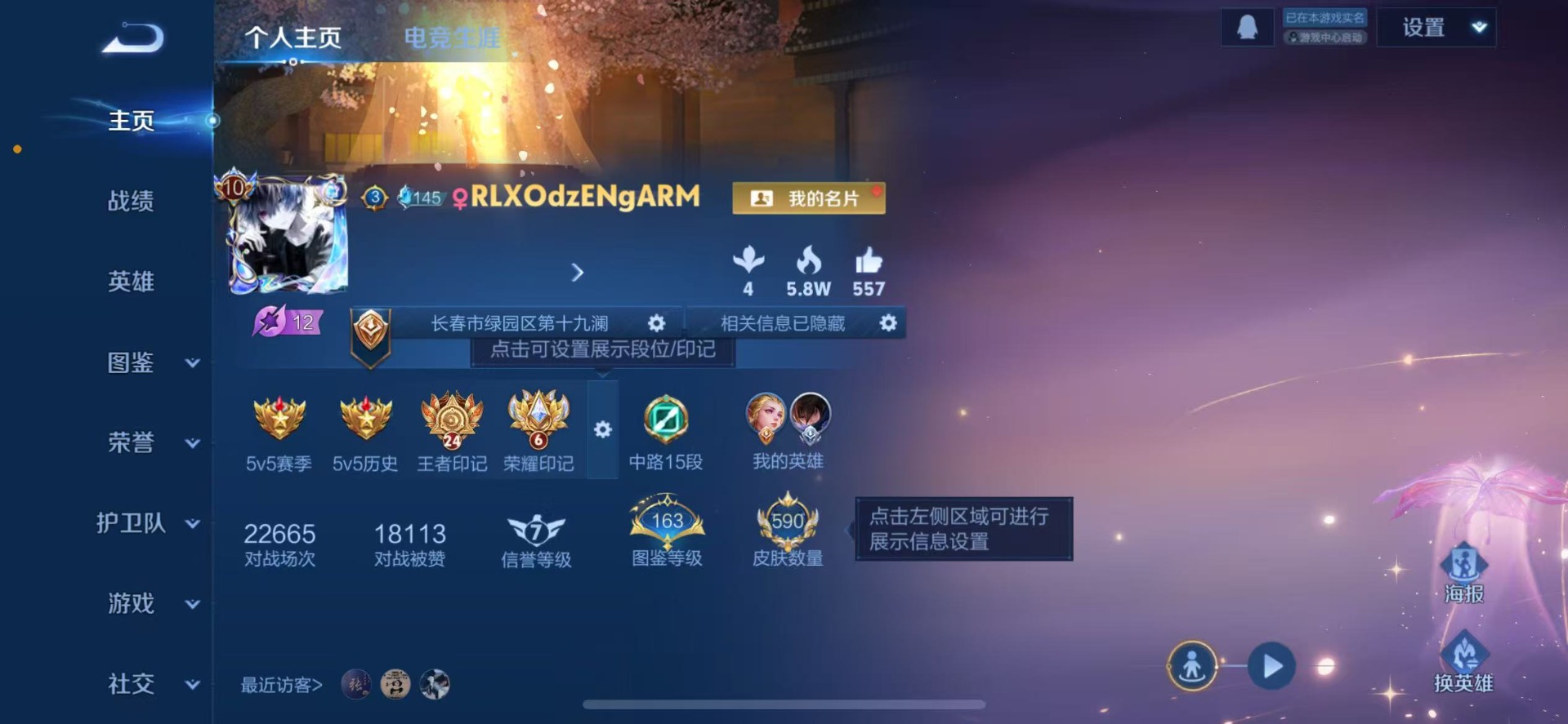 WZQM423540王者荣耀账号详情图7