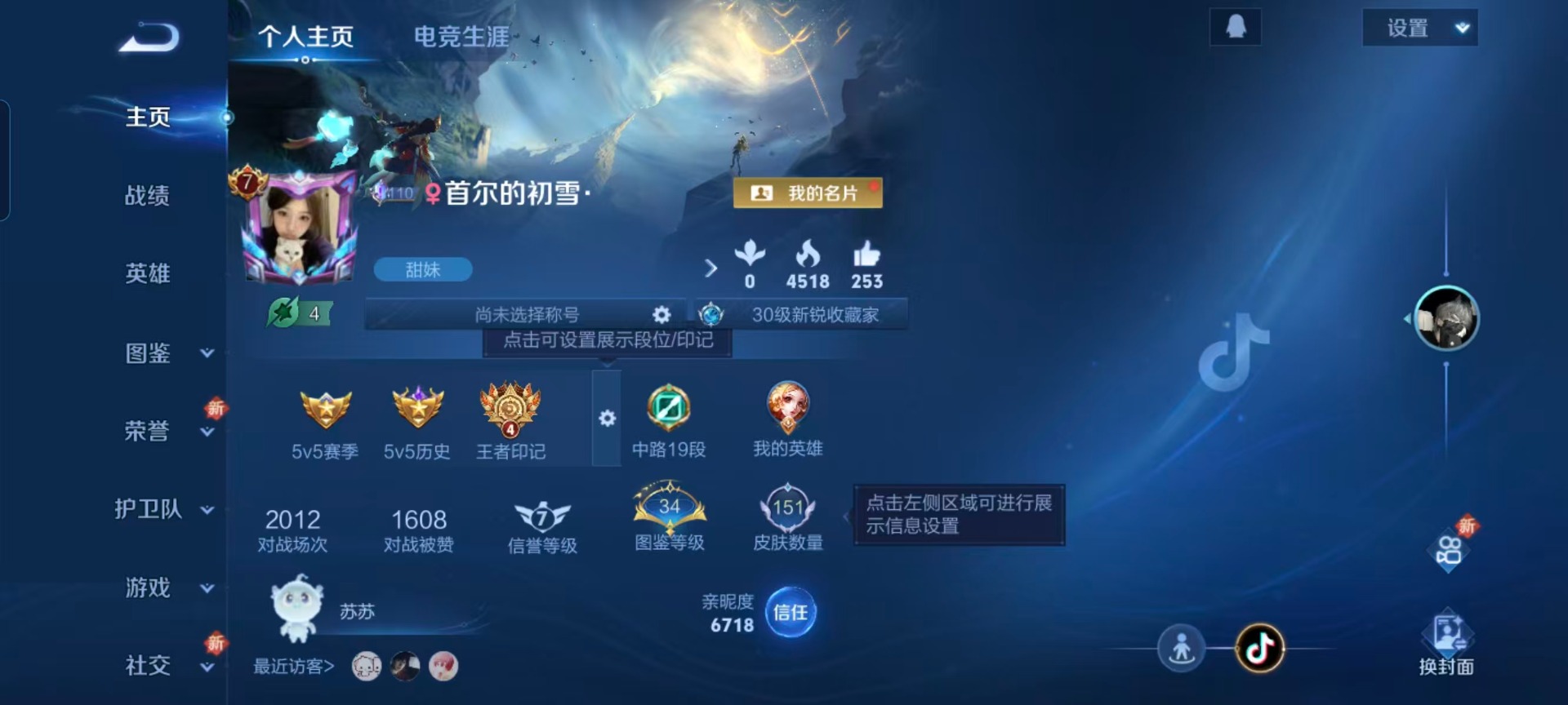 WZQM423590王者荣耀账号详情图11