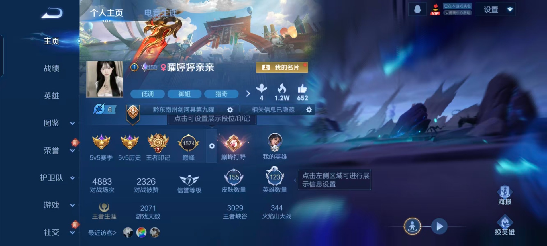 WZQM435854王者荣耀账号详情图10