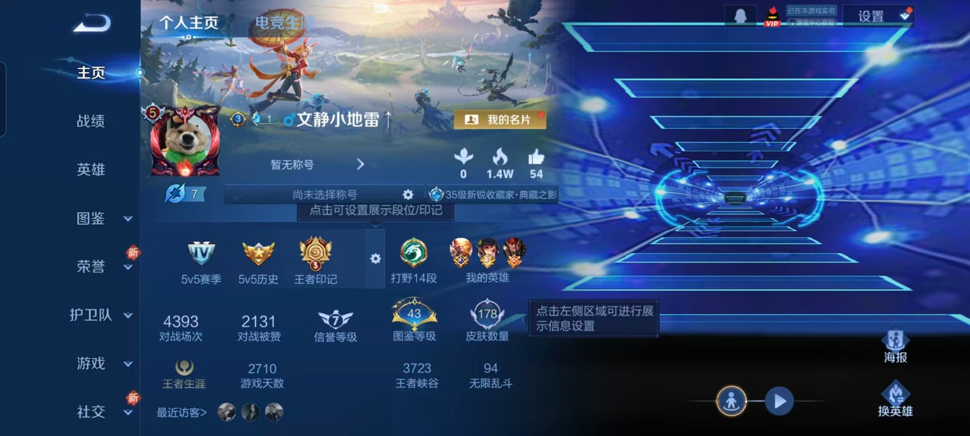 WZQM435875王者荣耀账号详情图12